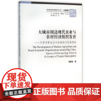 大城市周边现代农业与农村经济组织发育--天津市蓟县出头岭镇经济发展调查/中国国情调