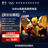 雷鸟 鹏6 24款 55英寸 4K超薄全面屏 远场语音 3+64GB 智能液晶平板游戏教育电视机55S375C-JN
