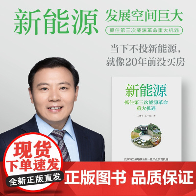 新能源 任泽平 王一渌 著 经济