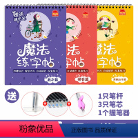 3本[拼音篇+数字篇+汉字笔画篇] [正版]魔法练字帖拼音数字汉字笔画描红幼儿园学前班儿童凹槽练字帖写字练字本全套3本送