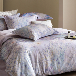 秋冬季印花高支高密100S碳素磨毛四件套加厚保暖纯棉床上用品套件