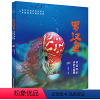 [正版] 罗汉鱼 名品珍品养护与鉴赏 胡南波 水族箱观赏鱼饲养繁殖书籍鱼缸宠物养鱼图书 罗汉鱼书籍热带观赏鱼饲养繁殖图