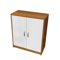 广亿隆定制加厚两门多功能矮柜