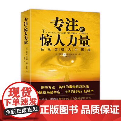 专注的惊人力量 轻松突破人生困境 心灵励志大师希克斯夫妇笃行30年 深度阐释吸引力法则 纽约时报书