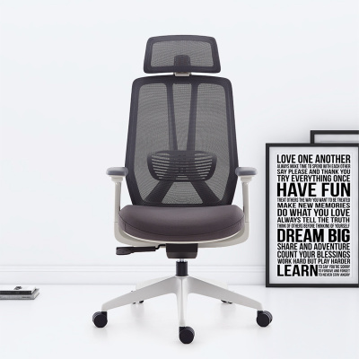 臻远ZY-7819办公椅人体工学椅转椅电脑椅 黑色3D升降扶手