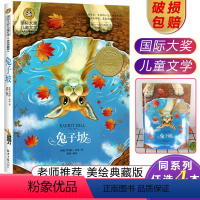[正版]选4本28元兔子坡 国际大奖儿童文学美绘版 小学生9-10-12-15周岁儿童课外书读物 三四五六年级老师阅读书