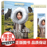 正版 小狼女朱莉 长青藤国际大奖小说书系 外国儿童文学三四五六年级小学生课外阅读书籍青少年版8-10-12周岁寒暑假拓展