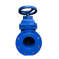 般德 软密封闸阀 DN50台