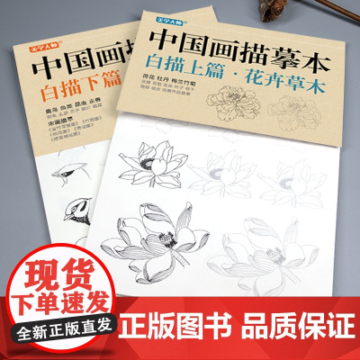 中国画描摹本工笔画上下2册/基础训练篇+强化提高篇 花卉草木鸟兽鱼虫绘画临摹本入门零基础书教材超级线条浅印