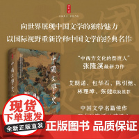 时刻人文·中国文学史 学者张隆溪力作 中国文学名篇佳作配有张隆溪的英译文 中国通史 东方出版中心 正版书籍