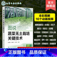 [正版]图说蔬菜无土栽培关键技术 彭世勇 一本常见蔬菜无土栽培全彩动画技术手册 樱桃番茄彩椒茄子黄瓜草莓油菜 无土栽培