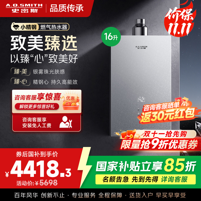 AO史密斯新品小体积16升精钢燃气热水器[小精钢EC5]静音 持久恒温 天然气 JSQ31-EC5