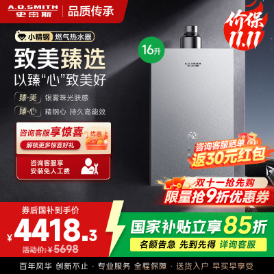 AO史密斯新品小体积16升精钢燃气热水器[小精钢EC5]静音 持久恒温 天然气 JSQ31-EC5