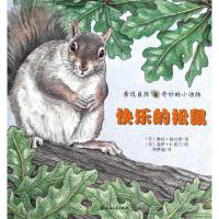 正版新书]快乐的松鼠/亲近自然奇妙的小动物(美)琳达·格拉泽|译