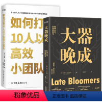 [正版]共2册 大器晚成+如何打造10人以下高效小团队 重新定义成功的价值标准里奇卡尔加德乾坤未定你我皆黑马成功励志书