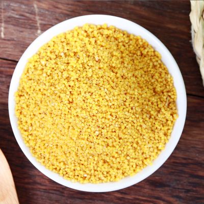 新米陕北油小米新食用小米月子米五谷杂粮农家精选油小米5斤（真空）