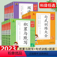 句式+积累与默写+阅读真题上册(3本套装) 小学一年级 [正版]2023新版53小学基础练语文阅读真题精选60篇一年级二