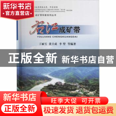 正版 右江成矿带 丁丽雪 黄圭成 李堃 等 中国地质大学出版社