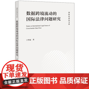 2024新书 数据跨境流动的国际法律问题研究 于华溢 著 法律出版社