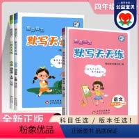 语文-全国版 四年级下 [正版]2024春四年级下册 亮点给力计算天天练数学苏教版 默写天天练语文人教英语译林小学4年级