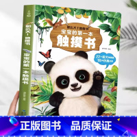 宝宝的第一本触摸书[超大地板书] [正版]小羊上山 宝宝的第一本触摸书 婴儿书玩具0一1岁书早教益智0到2-3岁1岁半立