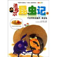 正版新书]大自然的清道夫 粪金龟-法布尔昆虫记-4(韩)金春玉9787
