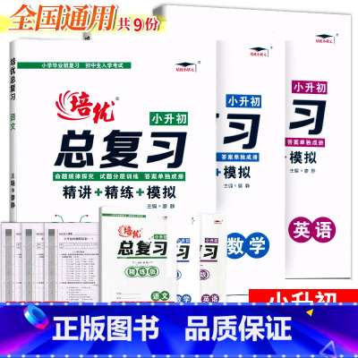 3本/小升初总复习[语文+数学+英语] 小学通用 [正版]2023小升初总复习语文数学英语知识集锦一二三四五六年级知识大