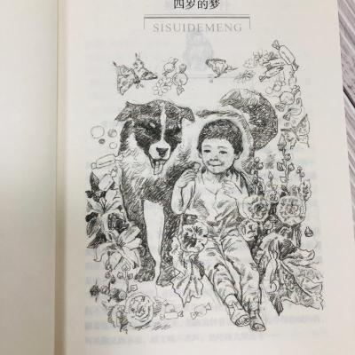 《一百个中国孩子的梦》