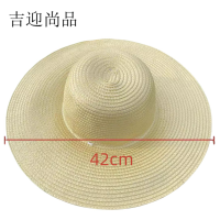 吉迎尚品 大檐草帽遮阳帽防晒帽太阳帽钓鱼帽 42cm 个