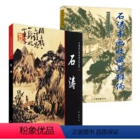 [正版]2册 中国画大师经典系列丛书:石涛+石涛书画收藏与辨伪