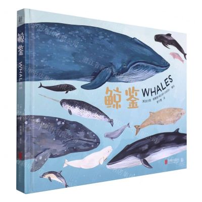 [N]鲸鉴(精)-9787559661142