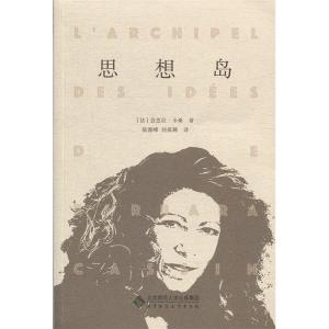 正版新书]思想岛[法] 芭芭拉·卡桑 陆源峰 何祺韡9787303246229