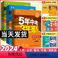 地理-人教版 八年级下 [正版]2024版五年中考三年模拟七八九年级上册下册数学物理化学英语语文政治历史5年中考三年模拟