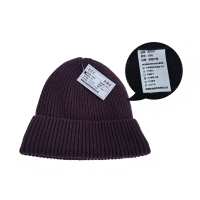 晶佰伶 防寒帽 针织帽 均码 顶