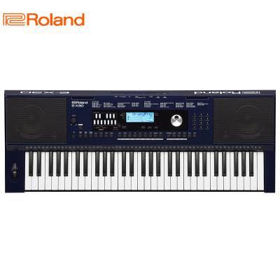 罗兰（Roland）E-X30电子琴初学入门智能演奏电子琴61键多功能编曲键盘双电模式电子琴黑色