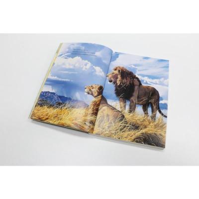 狼兄狼弟/沈石溪中外动物小说精品升级版 9-12岁儿童文学励志动物成长故事书 三四五六年级中小学生课外阅读书籍 沈石溪系