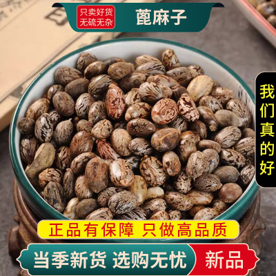 蓖麻子100克干货新货正品泡水蓖麻子生蓖麻子干货麻籽9260
