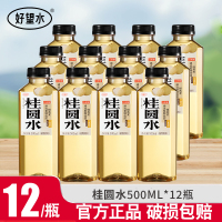 好望水桂圆水500ml*12瓶0脂0能量0添加糖健康养生植物饮料