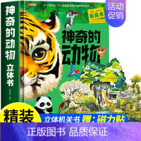 神奇的动物立体书(330*255mm大开本) [正版]神奇的动物立体书儿童3d立体书翻翻书6-7-8-10岁以上宝宝绘本