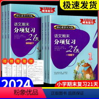 [正版]核心素养天天练语文期末分项复习21天一年级二年级三年级四年级五年级六年级上册下册 小学同步练习册冲刺测试卷子题