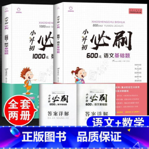 [共2本]语文基础题+数学基础题[赠答案详解] 小学升初中 [正版]2023年小升初必刷题人教版语文数学英语全套3本系统