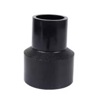 伟鹏双兴 PE对接热熔变径直接 S250*160 个