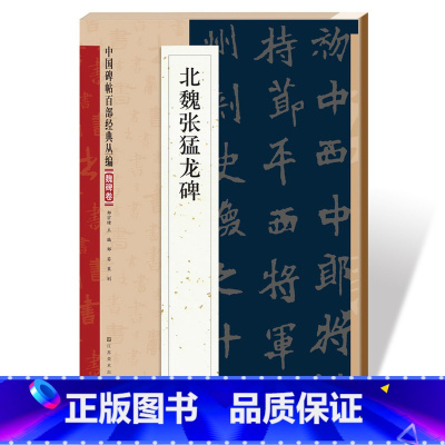 [正版]名家碑帖百部经典系列北魏张猛龙碑魏碑卷 北魏毛笔书法字帖魏碑