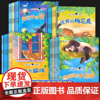 有声伴读]奇趣大自然幼儿园阅读绘本1到3-4一6岁小中大班科学启蒙教材儿童故事书睡前故事 三四岁婴幼儿宝宝早教科普读物老