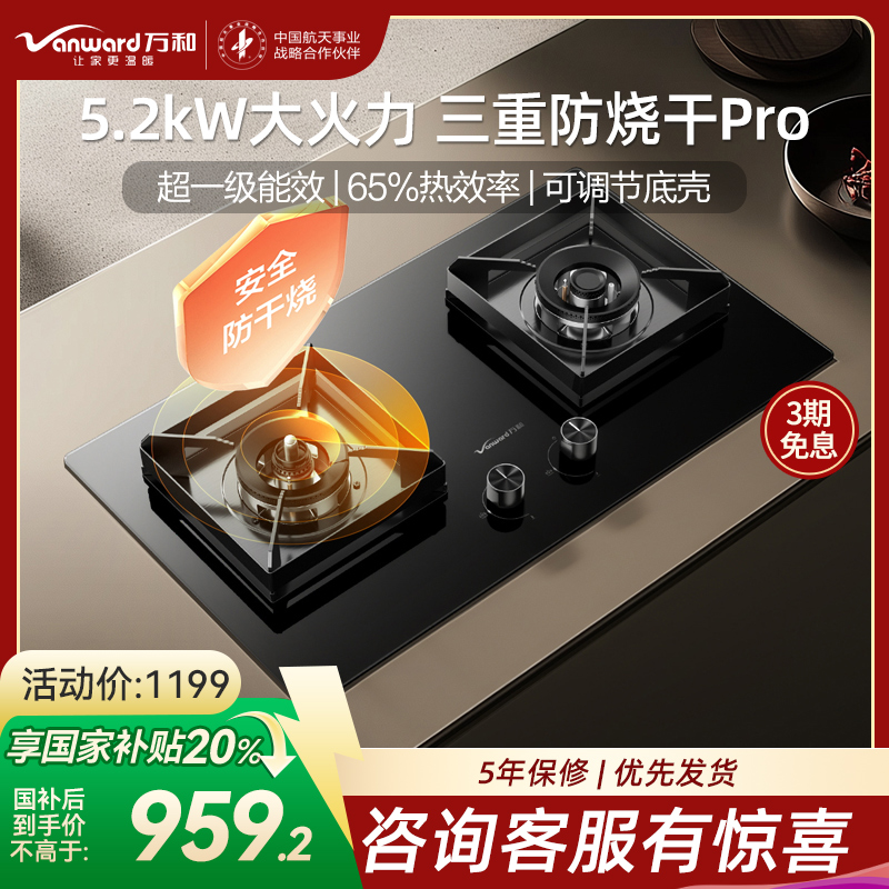 万和(Vanward)[小灶君B10 Pro·防干烧]天然气燃气灶5.2kW烟灶联动国家补贴20%嵌入式家用煤气双炉具