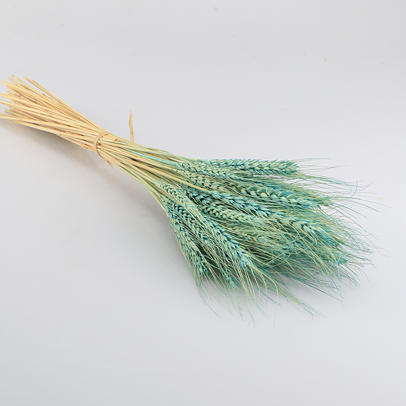 干花花束田园风干彩色麦穗天然干花客厅花瓶摆设仿真花永生花 麦穗浅