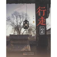正版新书]行走沁水李琼9787203091295