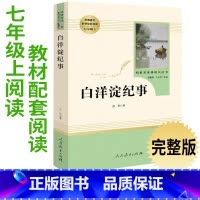 [正版]7年级/七年级上册 白洋淀纪事 初中生阅读文学名著 原著无删减版人民教育出版社上下册读物中学生课外语文阅读书籍