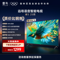雷鸟雀5 25款50英寸4K超高清智能网络WiFi语音 2+32GB 液晶平板电视机50F295C