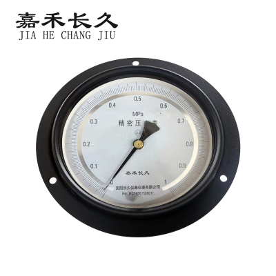 嘉禾长久+精密压力表轴向带边检测定制型+YB150ZT+0.4级+块